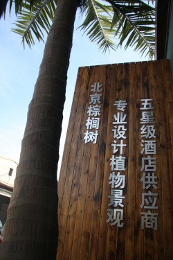 Beijing Palm International Group Ltd.