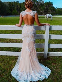Shop Pretty Trumpet/Mermaid Scoop Neck Champagne Tulle Appliques Lace Sweep Train Open Back Ball ...