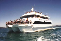 WHALE WATCHING CRUISES, DOLPHIN WATCHING, NELSON BAY, PORT STEPHENS, NSW