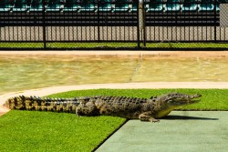 The Location | Clubb Coolum Beach Resort