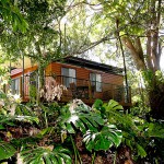 Cabins | Lilyponds Holiday Park