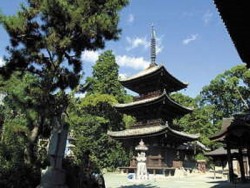 Fully Escorted Tours – Premier Travel To Japan – Japan Package