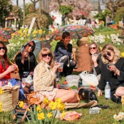 Food, Wine & Jazz Weekend – Tesselaar Tulip Festival