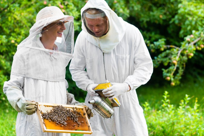 Bees – Surrey Docks Farm London