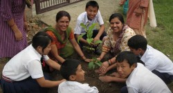 Herb Nepal – Organic Farm