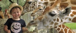 Giraffe Ranch Farm Tours – About Us