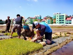 North Korea Travel and Tourism | Young Pioneer Tours