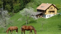 Holiday on a farm Sinnpathie, Goldiwil, Bernese Oberland