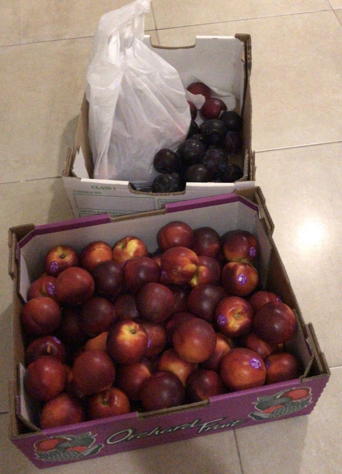 Nectarines , Plums and Peaches 🍑