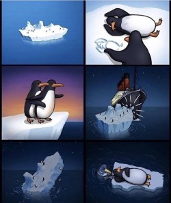 🐧🐧🐧 life