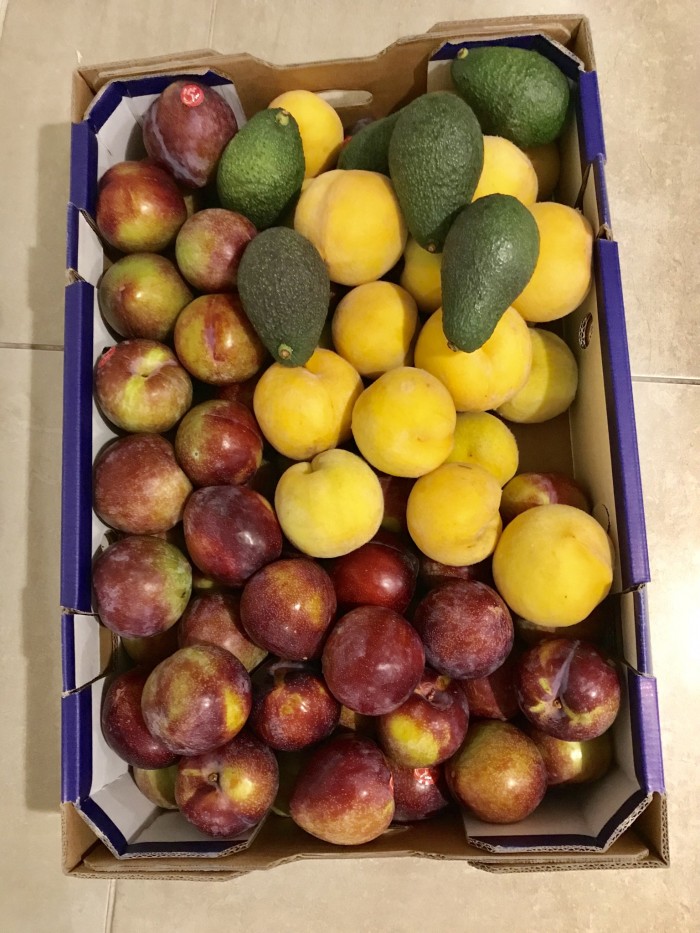 Fruits 🤤