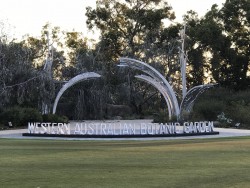 Kings Park , Perth