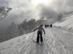 Hokkaido 🌨⛷