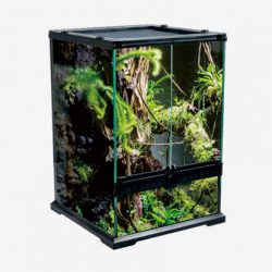 Reptile Breeding Box – nomoypet.net