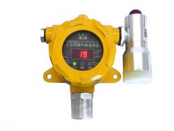Combustible gas detector for automobile