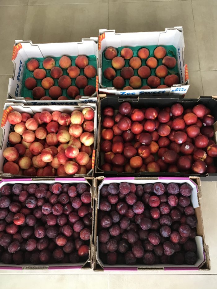Fresh Farm Fruits – Plum , Peach , Nectarine .