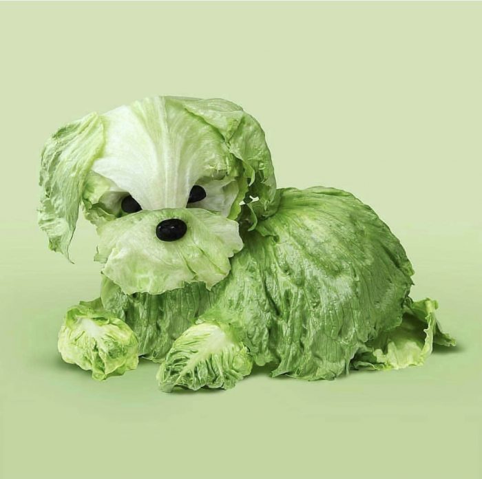 Lettuce Dog