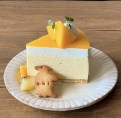 Cheesecake 🧀