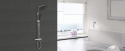 Stainless Steel Shower Lifter