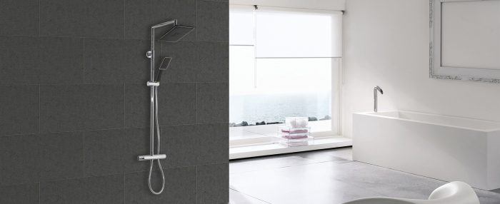 Stainless Steel Shower Lifter