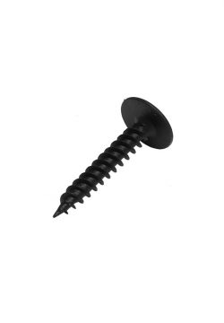 Black phillips self tapping screw