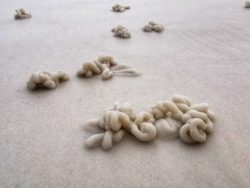 Beautiful& fine white sand – Esperance, WA