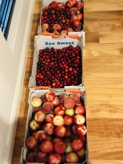 In season. Nectarine, Peach 🍑 & Cherries 🍒