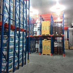 Large Cold Storage Warehouse for Fruits