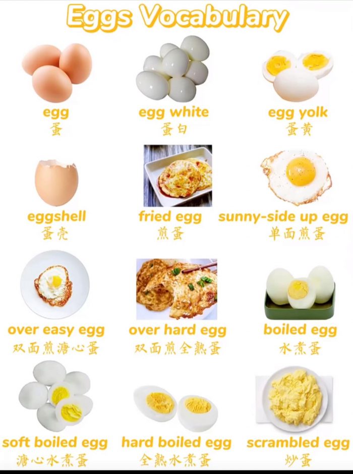 Eggs 🐣 🥚