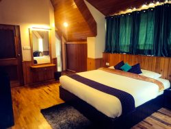 Best Hotels in Manali