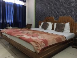 Book Hotel in Manali | Hotel Ranika
