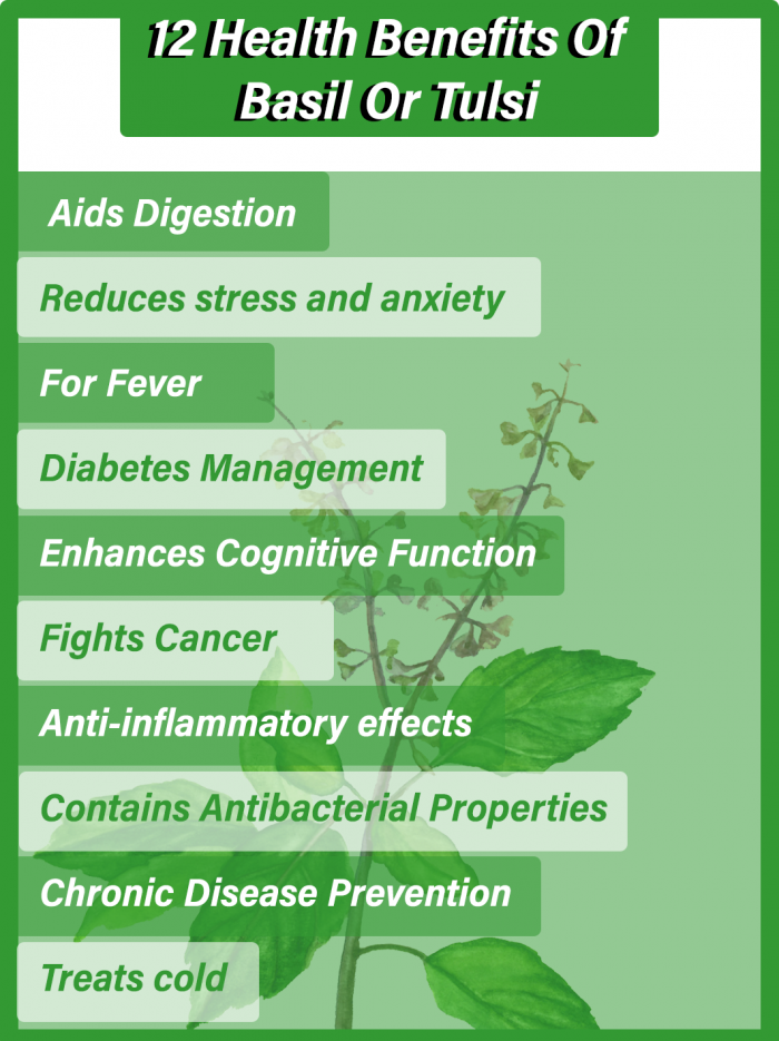 Health Benefits of Basil or Tulsi