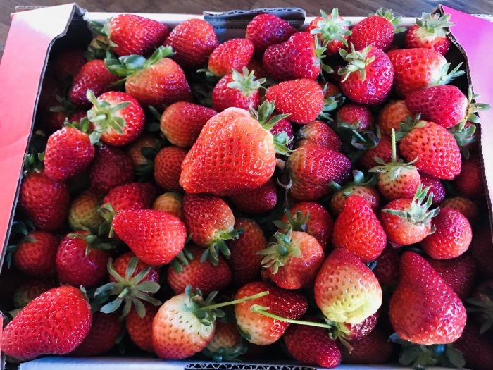 Strawberry picking 😋
