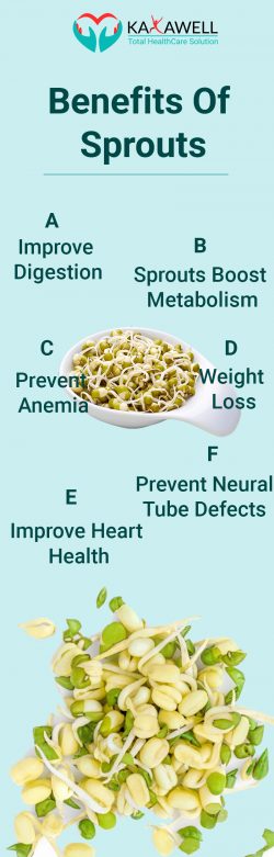Best Benefits of Sprouts