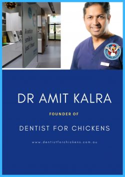 Dr Amit Kalra – Dentist for chickens