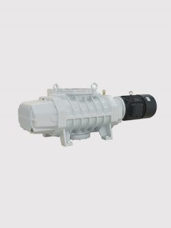 Roots Vacuum Pumps