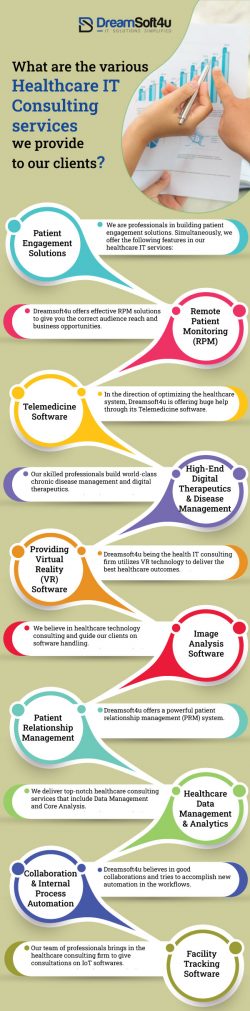 What are the various Healthcare IT Consulting services we provide to our clients?