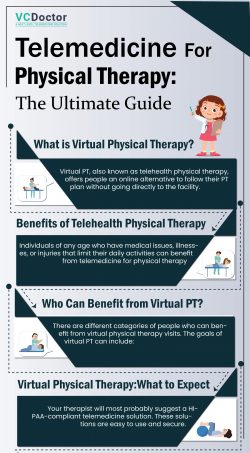 Virtual Physical Therapy Visit