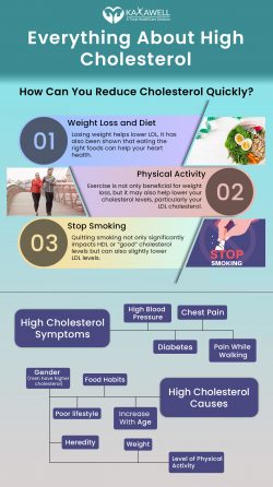 High Cholesterol – Symptoms, Cause, Risk Factor