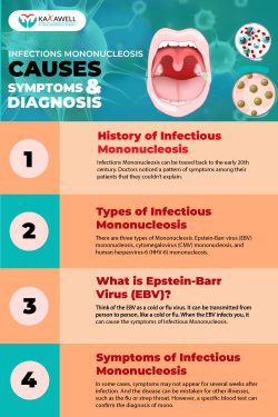 The Complete Guide To Infectious Mononucleosis: Causes Symptoms & Diagnosis