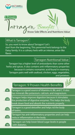 Health Benefits of Tarragon