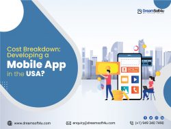 Cost Breakdown: Developing a Mobile App in the USA