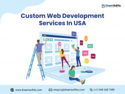 Custom Web Development Services In USA