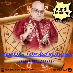 world’s best astrologer | kundli making