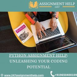 Python Assignment Help: Unleashing Your Coding Potential