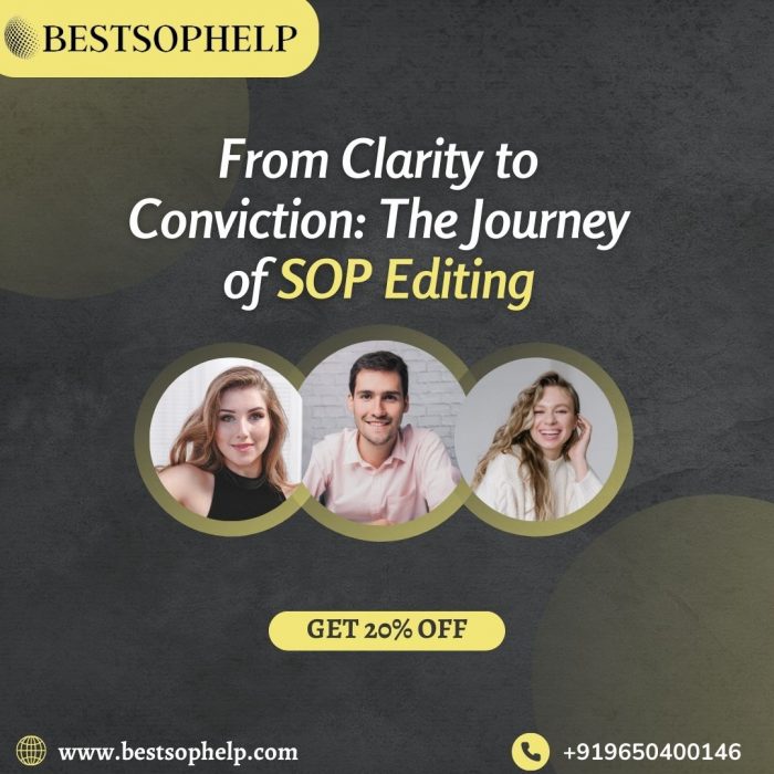 From Clarity to Conviction: The Journey of SOP Editing