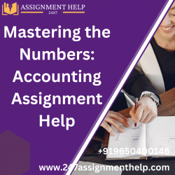 Mastering the Numbers: Accounting Assignment Help