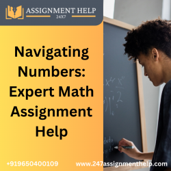 Navigating Numbers: Expert Math Assignment Help