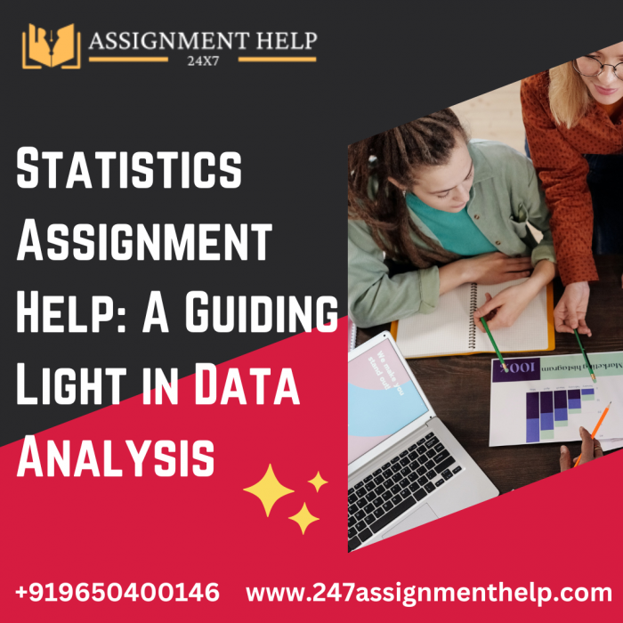 Statistics Assignment Help: A Guiding Light in Data Analysis