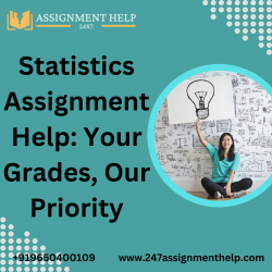 Statistics Assignment Help: Your Grades, Our Priority